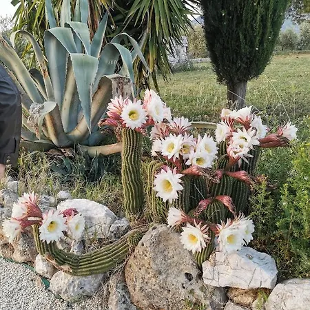 Dei Romani - 3* Guidonia Montecelio